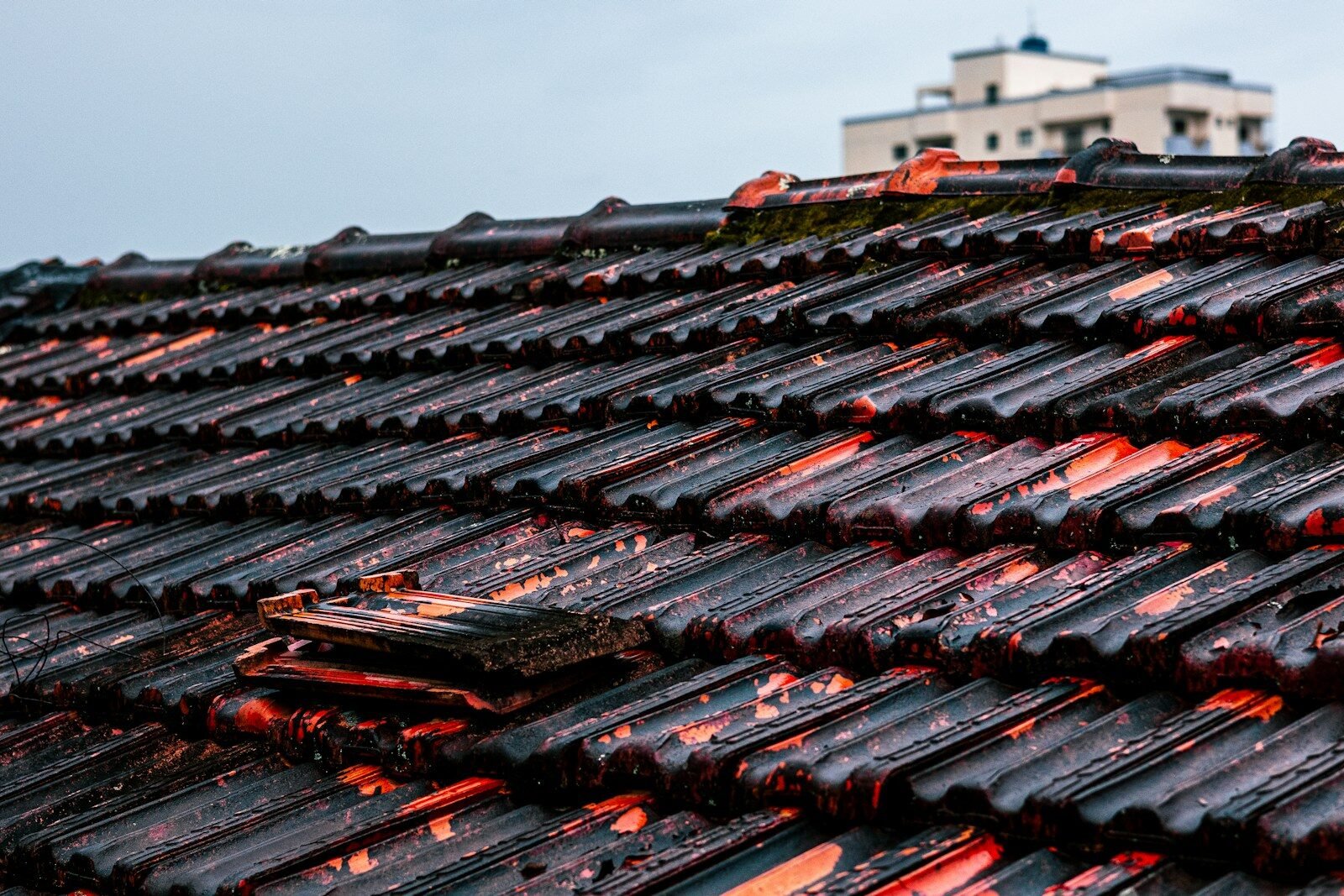 PNW roof failure inspection showing roof damage and moisture concerns
